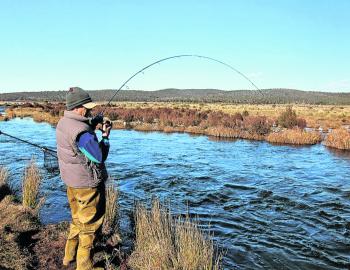 The annual pre-spawning run of browns in the Eucumbene and Thredbo rivers attracts large numbers of fly and lure anglers seeking a trophy fish on the classic Glo Bug and trailing nymph rig.