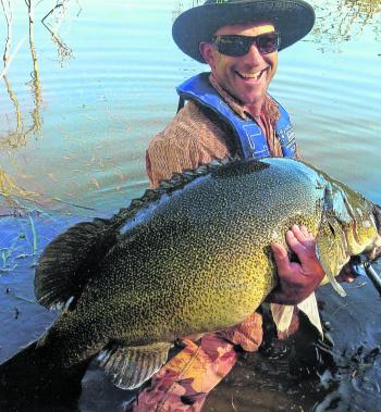 Josh Carman shows off a classic large Murray cod, the likes of which dominate the fishery in Googong Reservoir, part of Canberra's drinking water supply.