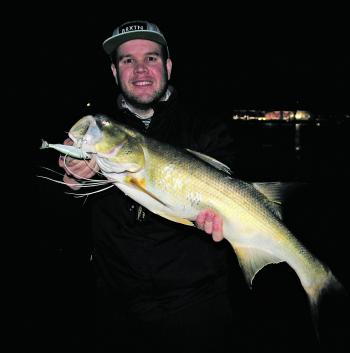 This thready was caught while fishing land-based with a swimbait. It was tagged and released.
