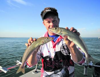 The Middle Spit is one of the popular locations for summer time whiting. It can become over crowded on weekends. To be successful, drop off the edge into some deeper water and try to get away from the crowds.