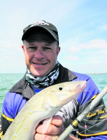 There are some monster whiting in the Port – look at the girth on this fella.