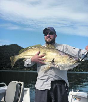 This is the largest tagged mulloway in NSW at present caught by Chris on a recent charter with the author.