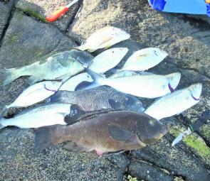 The rocky washes can bring great rewards in the form of bream, trevally, salmon, drummer and groper.