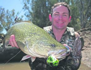 Sandy Hector with a nice Murray cod with took a liking to his bright green JD superbug.
