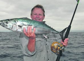 April is time for big bonito. This is only a tiddler compared with some that grab your live baits and pilchards.