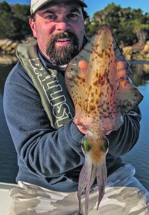 The author with a sample of the excellent calamari being caught in Georges Bay.