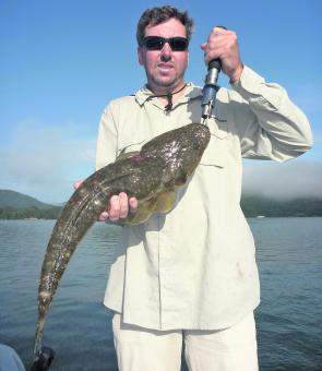 Lure fishing for dusky flathead can produce good numbers and sizes as the water cools. Dean recently caught and released this 71cm on a 5” minnow and light spin tackle.