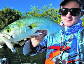 The author has been sounding up plenty of tailor on the bottom and using a large white plastic with a heavy jighead to get the to bottom quickly. The average size of these fish has been 42-45cm.