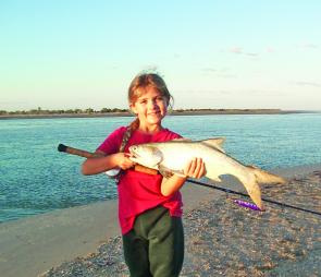A blue salmon that got in on the beach barra fishing act.