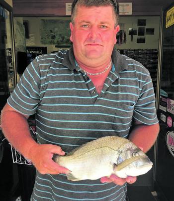 Bream numbers have been a little down on previous years, but with a little local knowledge and luck, good fish can be taken.