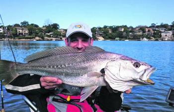 Tez Grimanson with another mulloway. He is a master at catching these fish. 