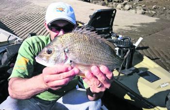 Tez can also catch a bream or two. He won the SBS round in Sydney Harbour with a three-fish bag weighing 2.5kg.
