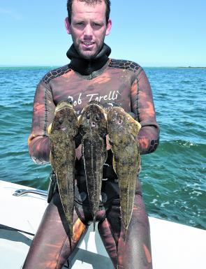 Prime Port Phillip flathead are a welcome by-catch.