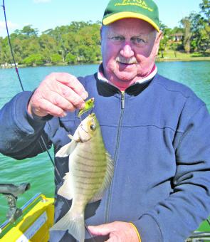 Barry Hein with a luderick on a vibe – locate the fish over the weed beds and work the lures very slowly just off the bottom.