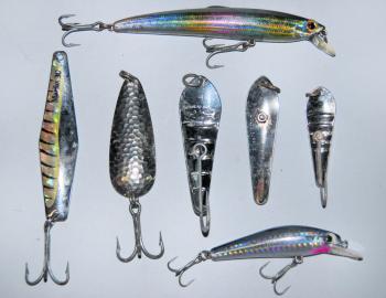 Spoons are the main type of lure trolled for Moreton Bay school mackerel and there are several different brands on the market, including Luhr Jensen Ripple Spoons, Macka Spoons and Halco Barra Drones. The Halco product is the easiest to find, with the mos