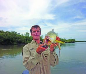 Big bucket-mouth threadies will be a common catch during the barramundi closure.