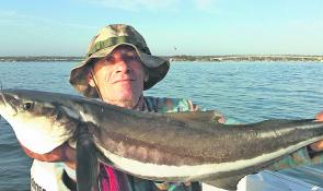 You couldn’t get the smile off Kolinu Spiteri’s face after he caught this 85cm cobia at the mouth of the Georges River.