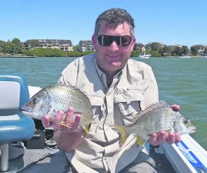 Aaron anchored near the entrance to Hen and Chicken Bay in the Parramatta River on a rising tide and caught some good bream. 
