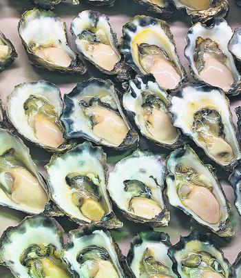 Our oyster farms produce world class fresh seafood as well as providing key habitat for species like bream, flathead and luderick. Looking after oyster farms is a win-win for fishos and farmers.