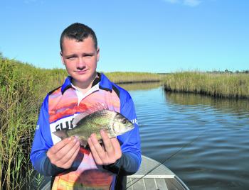 Wade quickly converted Pete to fish with soft shell bait, after he caught a number of quality fish like this one.
