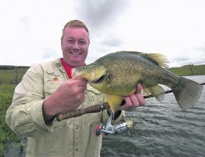 Chris Ingle at St Clair with a golden perch taken on a Viking Crank Minnow.