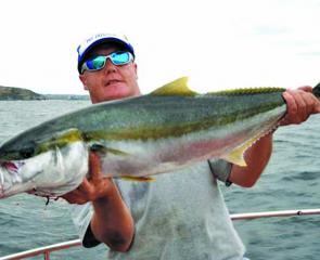 Kingfish caught by Steve Winsor from the Northern Beaches.