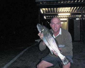 Just a school-sized fish, but a beach mulloway is a good catch regardless! 