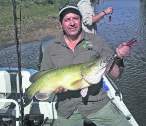 Fishing the edges and structure inside the timber at Coolmunda will give you a good chance of scoring a cod. Kerry Ehrlich had a great session with numbers of cod and golden perch caught on his Mud Mouse hardbodied lures. 