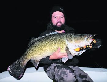 Mark Muggleton has been finding success on big jointed wakebaits. It seems like the bigger the lure, the bigger the cod. 