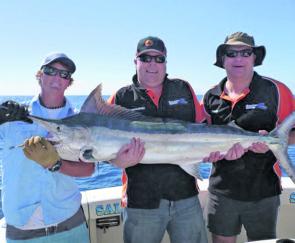 Saltaire Charters enjoyed the spoils of the best small black marlin season in over 15 years.