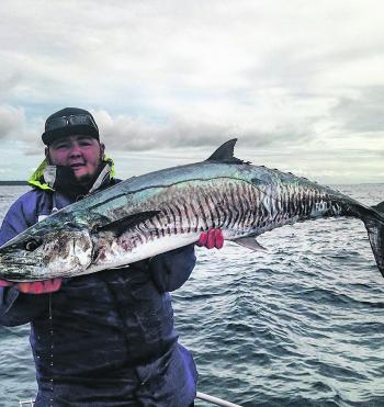 Large Spanish mackerel like this one are excellent to eat and love attacking large dead and live baits.