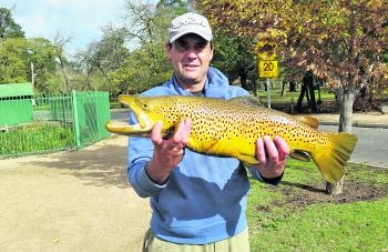 Nick Kalkbrenner shows off a magnificently coloured buck brown trout, which stretched the tape to 68cm and dragged the scale down to 3.5kg. Nick loves fishing PowerBait at Lake Wendouree at this time of year, and his methods clearly work!