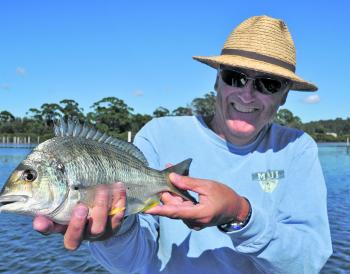 Solid bream are to be found on the beaches and in the estuaries.