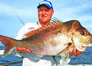 An unbelievable snapper season around Port Stephens continues. Tackle world staff member Neil Lembcke nailed this cracker on a 6” Gulp Jerkshad at the back of Broughton Island.
