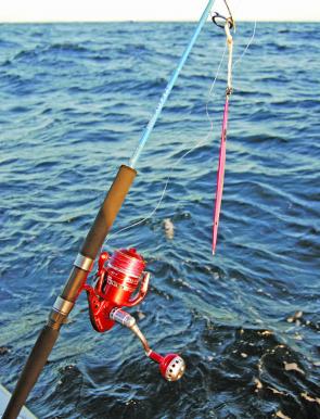 The author’s outfit rigged with a 230g Hots jig ready to be sent down to the kingfish. Every part of the system is refined and specialised, from the jig through to rod and reel. Inferior tackle tends to lead to breakdowns and lost fish.