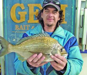 Bream grow over a kilo over many years and they can be targeted in amongst rocks and woody structure at night.