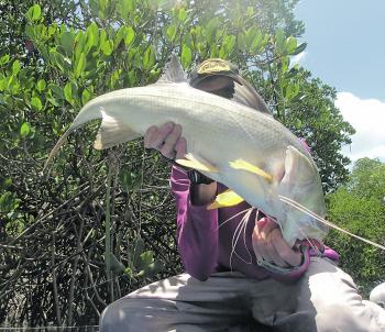 Threadfin will take live baits, and occasionally dead baits, but chasing them with lures is your best bet.