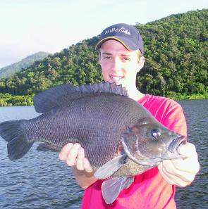 Big sooties are a nice by-catch when fishing for impoundment barra at Peter Faust Dam.