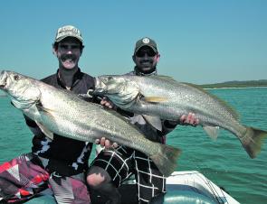 Mulloway tend to school up in areas of high tidal flow.