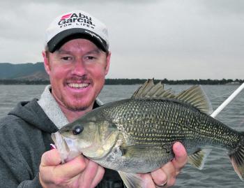 Tail spinners at Somerset are still a winner when targeting deeper schooled fish.