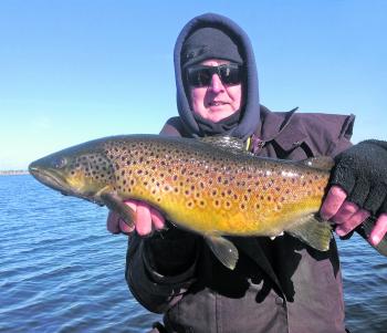 Alan Greig with his first ever brown trout of 2.9kg taken on a OSP Bent Minnow off the surface at Toolondo recently.