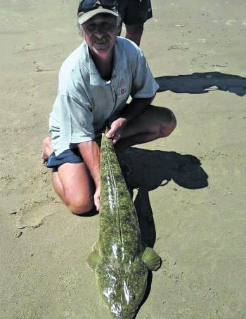 Dal Currie caught and released this 1m Manning River flathead near Farquhar Park. 