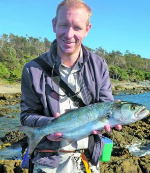 Pete Byron cast a metal lure off the rocks to bag this tailor.