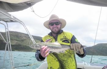 Darren with a baby shark mackerel – sorry Darren, they can't all be big!