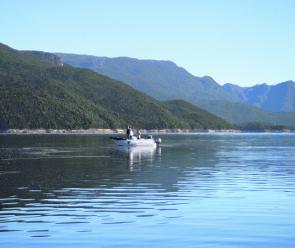 The slicks in Lake Burbury are sensational – those foamy streaks are loaded with trout food, and trout food.