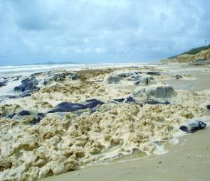 Foam covering the dangerous, exposed rocks south of Teewah. Caution is needed for those who are contemplating a trip along the beach.