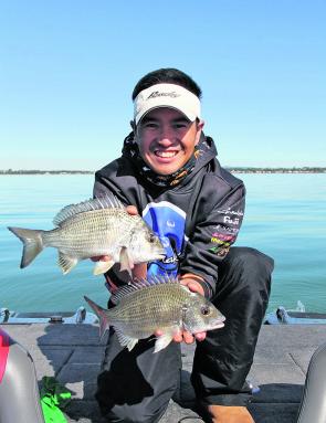 Bream are in good numbers around the northern bay at the moment and the rising tide is the best time hunt for these aggressive little guys. 