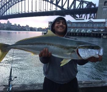 You don't need a boat to catch big fish – just ask Hassan Alameri with his ripper king from Sydney Harbour!