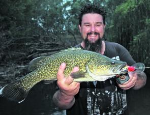 This decent King River cod fell to a Koolabung Codzilla lure cast while wet wading up the middle of the river.
