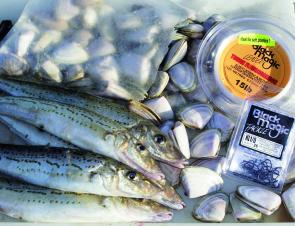 Circle hooks are a great alternative to using long-shanked hooks for King George whiting.